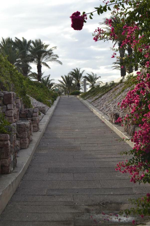 Apartamento Cabo De Gata Ретамар Екстер'єр фото